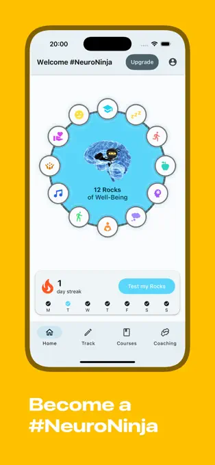 The NeuroNinja app’s daily wellbeing activities